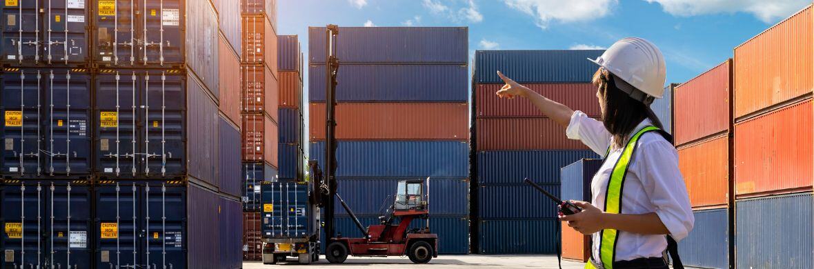 ¿Qué es el Previo en Origen? para importaciones más ágiles y seguras